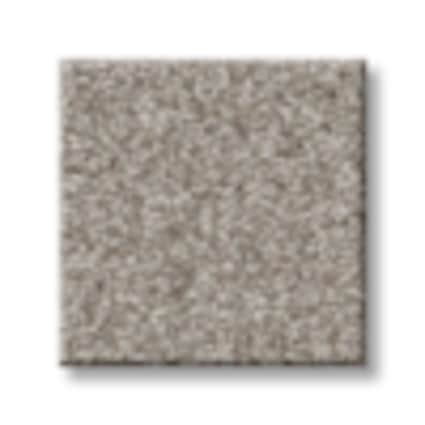 Shaw Brooklyn Bridge Hazelnut Texture Carpet with Pet Perfect-Sample